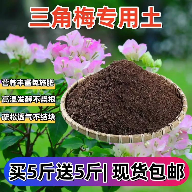 三角梅专用土通用型有机营养土种菜种花养花松针腐植土腐叶土多肉