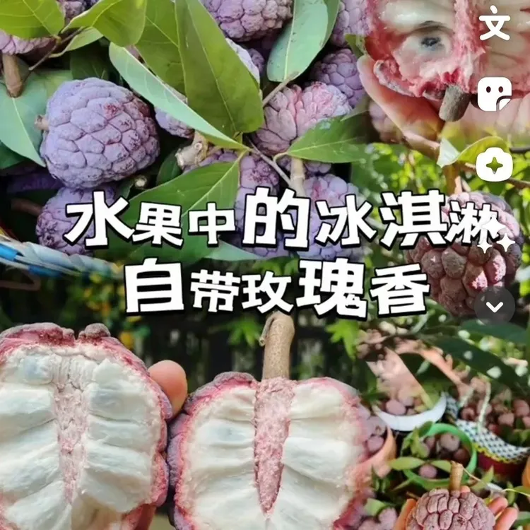 广东红玫瑰释迦果凤梨牛奶非番荔枝新鲜甜水果泰国大目释迦果5斤