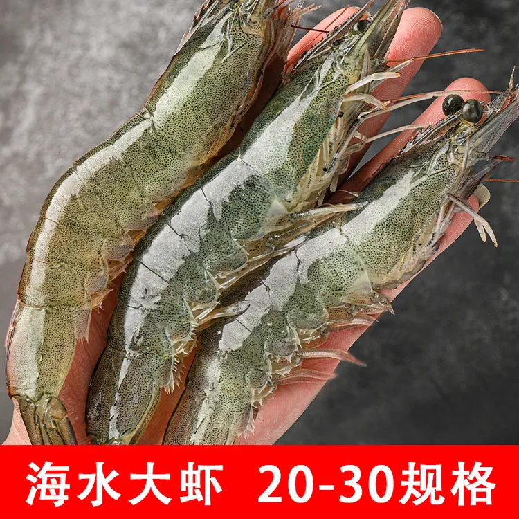 青岛发货20-30规格约16/19厘米左右净大虾净3斤约35/40只鲜活急冻