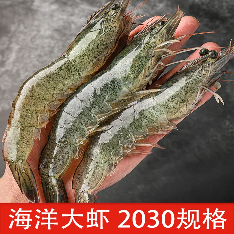 青岛 20/30规格净大虾3斤约35/45只鲜活急冻海水白对虾青虾