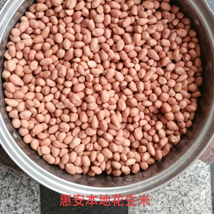 25年新货惠安本地企业花生米纯人工手剥醋泡挑选的炒馒头