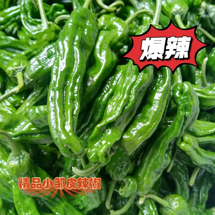 陈家安徽会龙辣椒特辣爆辣魔鬼辣小邹皮辣椒青椒新鲜薄皮2斤包邮