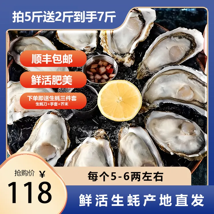 生蚝5-6两鲜活海鲜海牡蛎海蛎子带壳（保证新鲜不包活介意慎拍）