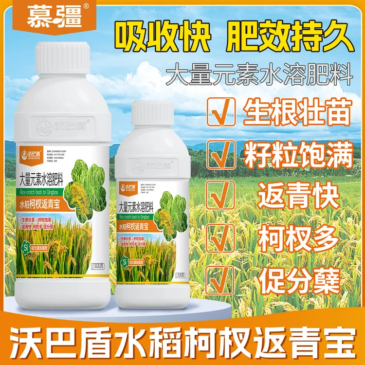  沃巴盾水稻柯杈返青宝生根壮苗返青快 籽粒饱满叶面肥添加剂助剂
