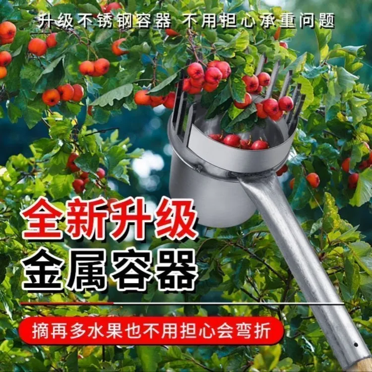 加厚新款酸枣不锈钢摘果器采果山枣柏树神器小枣工具扎手