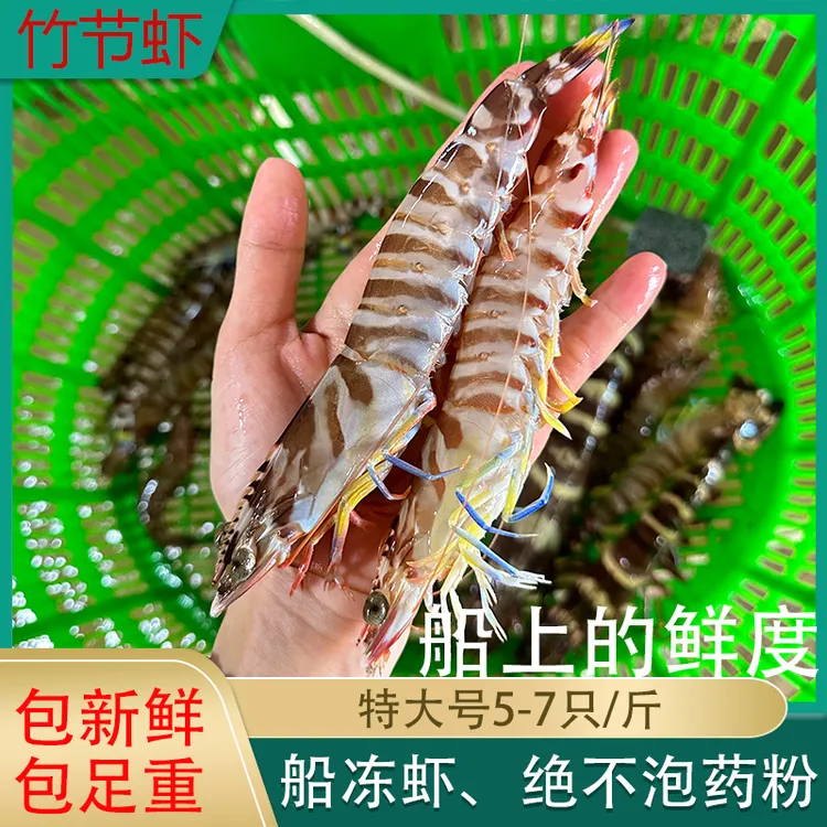 北部湾海捕海虾鲜活竹节虾九节虾斑节虾花虾特大虾新鲜活冻基围虾