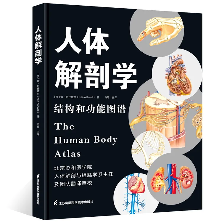 人体解剖学：结构和功能图谱