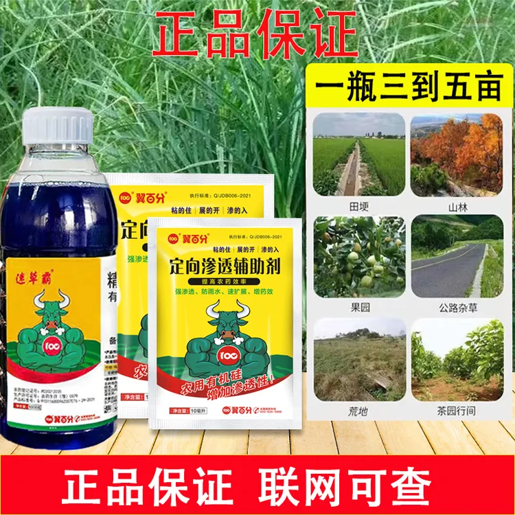 翼百分速草霸高浓缩除草剂牛筋草小飞蓬果园茶园田梗专业清除杂草