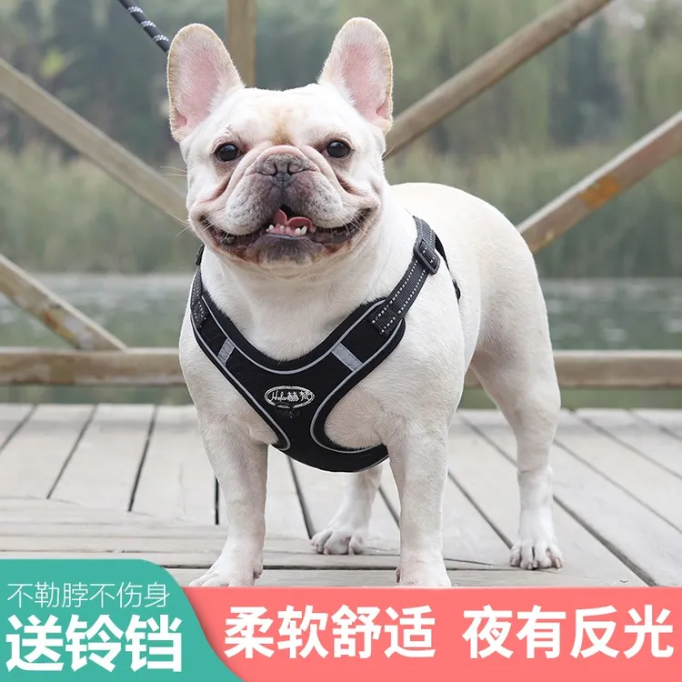狗狗牵引绳背心式中小型犬法斗牵引绳遛狗绳狗狗胸背带遛狗牵引绳