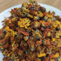 西域冰菊【八妹推荐】