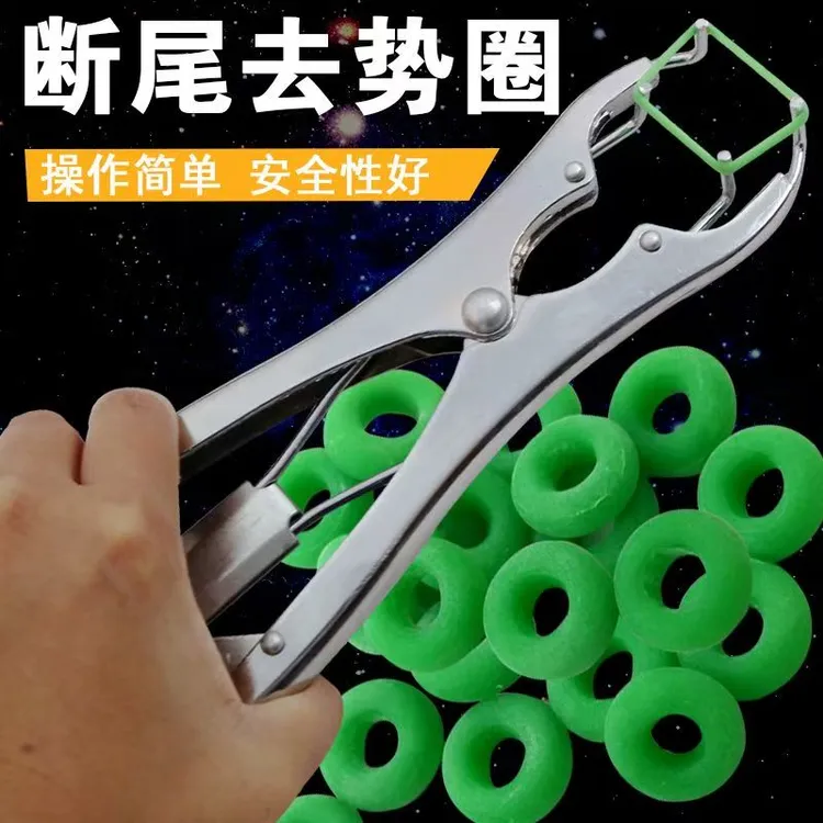 羊用断尾圈及去势钳羊羔无血断尾实用工具