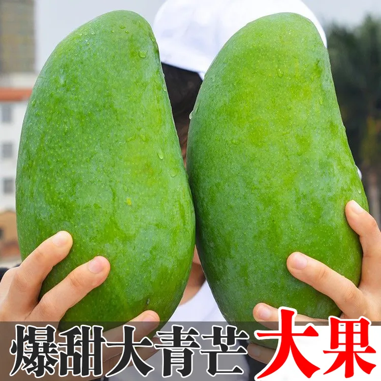 大青芒果金煌芒新鲜水果产地直发当季新鲜青皮大芒果贵妃芒小台芒