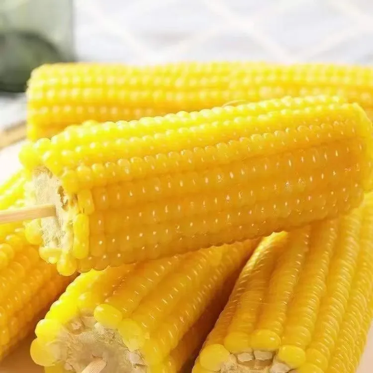 内蒙古巴盟糯玉米180克到220克拍一发十二《微瑕疵》