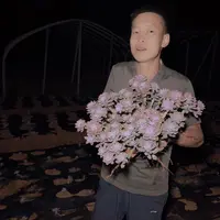 地栽大阿伦陪多肉轻微断肢不售后