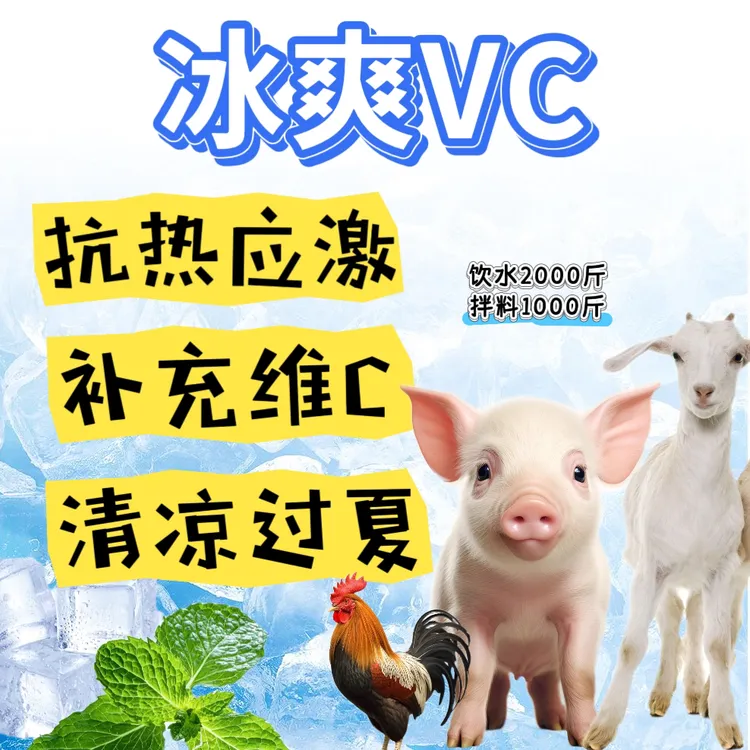 冰爽VC清凉一夏兽用降温解暑抗应激饲料添加剂