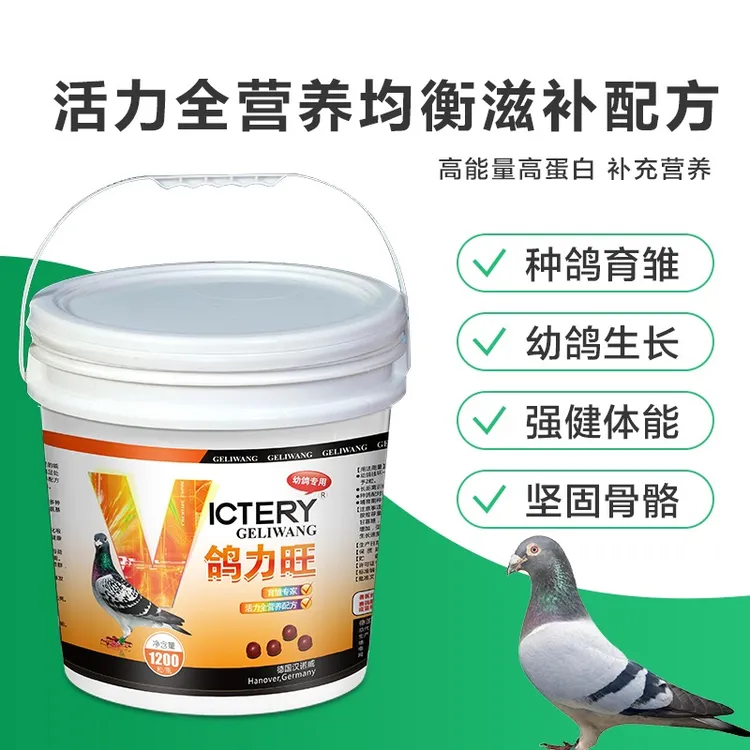 汉诺威鸽力旺鸽子鸟用品