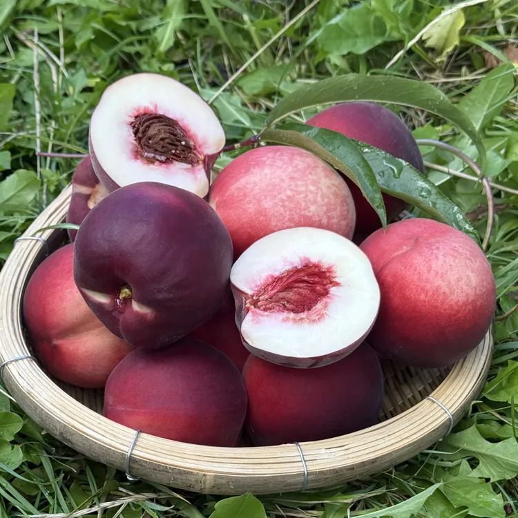 自家老百姓家康不脆甜爽口7斤装10斤装