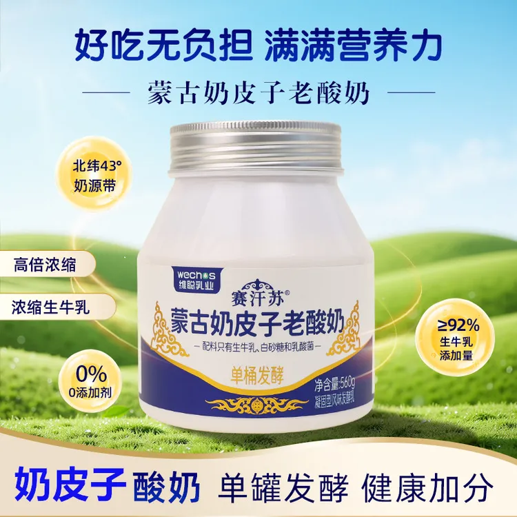 赛汗苏560g奶皮子老酸奶生牛乳发酵桶装乌日莫奶皮子草原低温酸奶