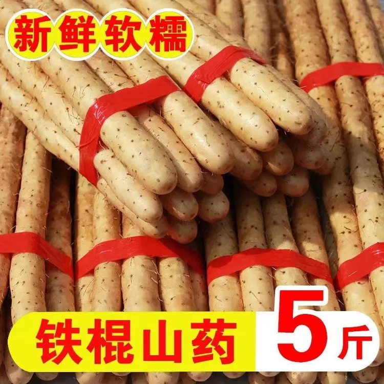 铁棍山药新鲜产地直发香甜粉糯精品5斤装50cm