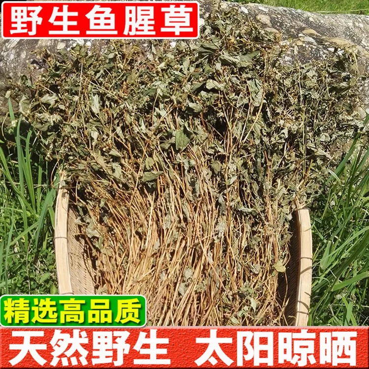 鱼腥草干农家自晒折耳根整棵高山精选无硫干货叶菜100g-1000g包邮