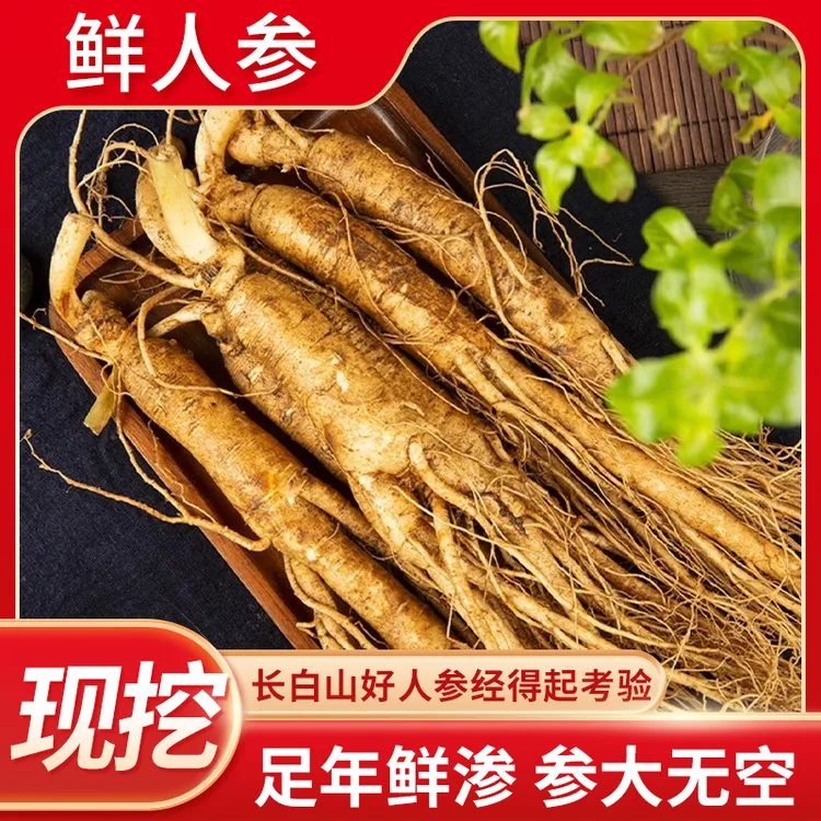 【大号】长白山鲜人参【品质购】直播