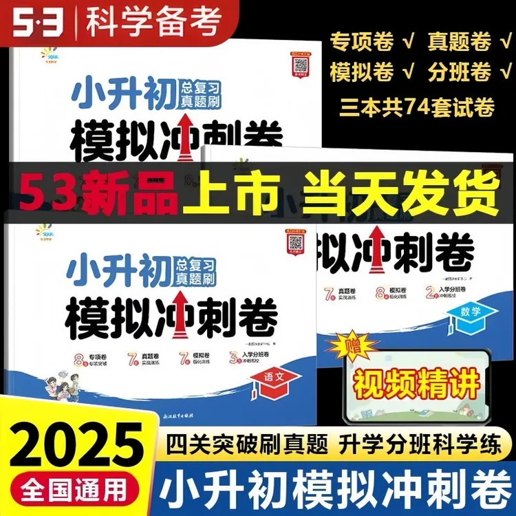 2025小升初总复习真题刷冲刺模拟卷语文数学英语考前讲练分班卷