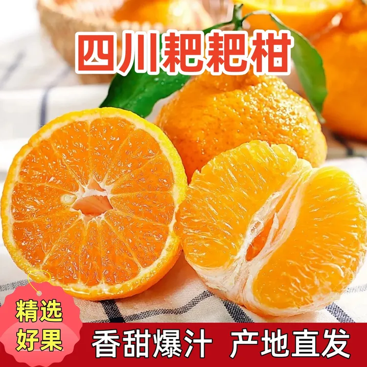 【粒粒爆汁】正宗四川春见耙耙柑香甜多汁现采现摘