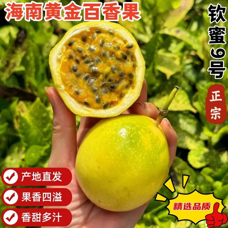 【新鲜采摘】钦蜜九号黄金百香果海南直发果香浓郁新鲜水果精选品质
