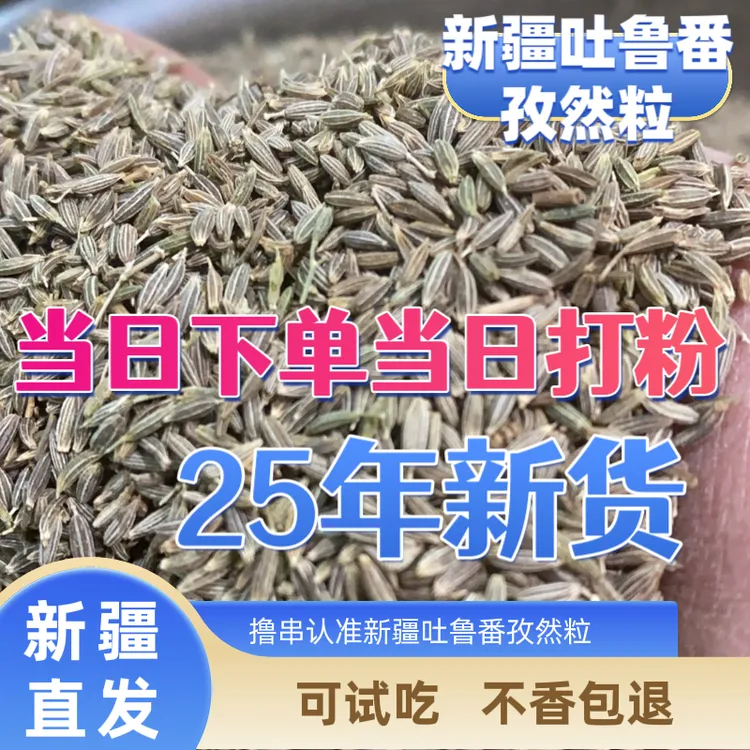 25年新货吐鲁番孜然烧烤撒料孜然粒孜然粉炸串烤肉调味料烧烤料