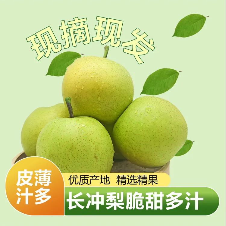 云南文山广南长冲梨（12个大果)