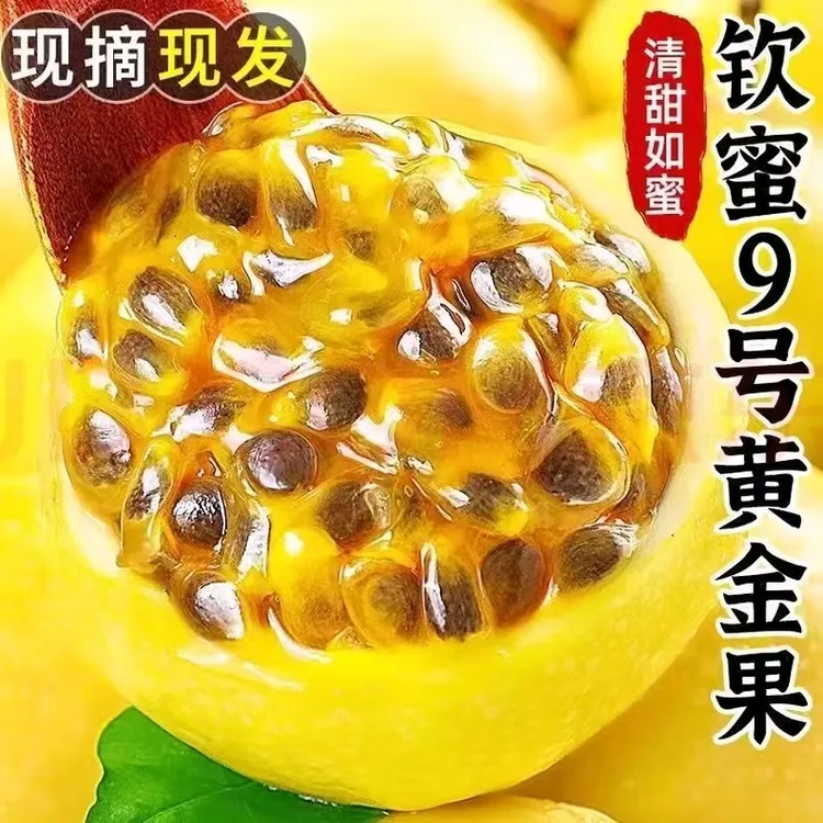 广西钦蜜9号百香果新鲜当季水果香甜多汁包邮