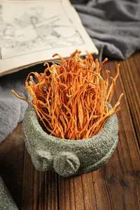 农家新货虫草花干货正宗特产炖鸡煲汤食材