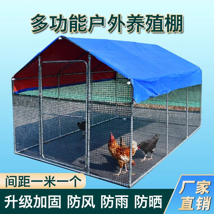 户外大型鸡棚特大号家禽鸡笼鸡窝孔雀防雨鸡舍搭建钢管家用养殖