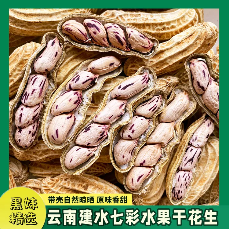 （云南七彩干花生）农家自种带壳晒干七彩花生，口感香脆，越嚼越香