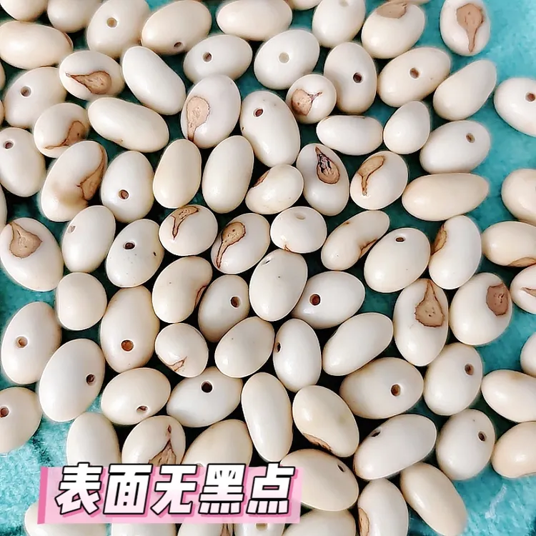 非金属木质手链 蒲葵籽小佛眼菩提已抛光没打孔60颗DIV手工串珠