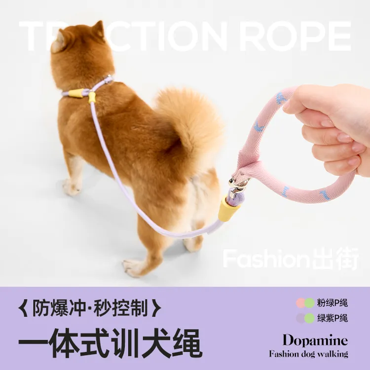 防爆冲狗狗牵引绳P绳P链防挣脱套脖狗链子小型中大型犬遛狗拴狗绳