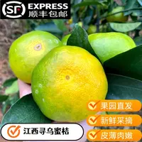 【顺丰包邮】江西赣南寻乌蜜橘皮薄多汁无籽青皮蜜桔新鲜水果5斤