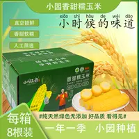 【汪姐专属】2025新玉米精选黄糯玉米8棒/箱每棒220g-260g 中通快递