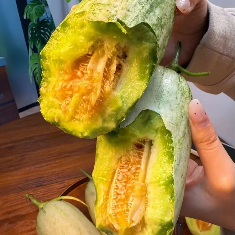 山东博洋72号甜瓜更脆甜更甜香甜脆爽