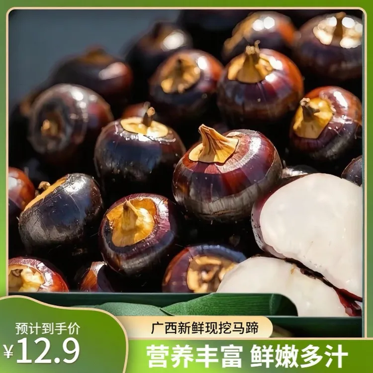 广西新鲜现挖当季新马蹄荸荠水果肉嫩脆爽农家特产