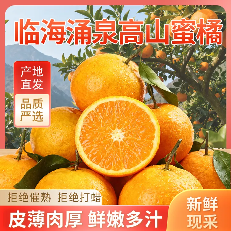 【顺丰包邮】小娟精选正宗高山蜜桔皮薄多汁无核新鲜采摘发货现摘发