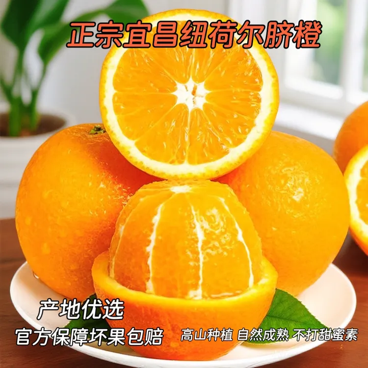 新鲜现摘非赣南橙子正宗宜昌纽荷尔十斤脐橙果冻现采产地水果批发
