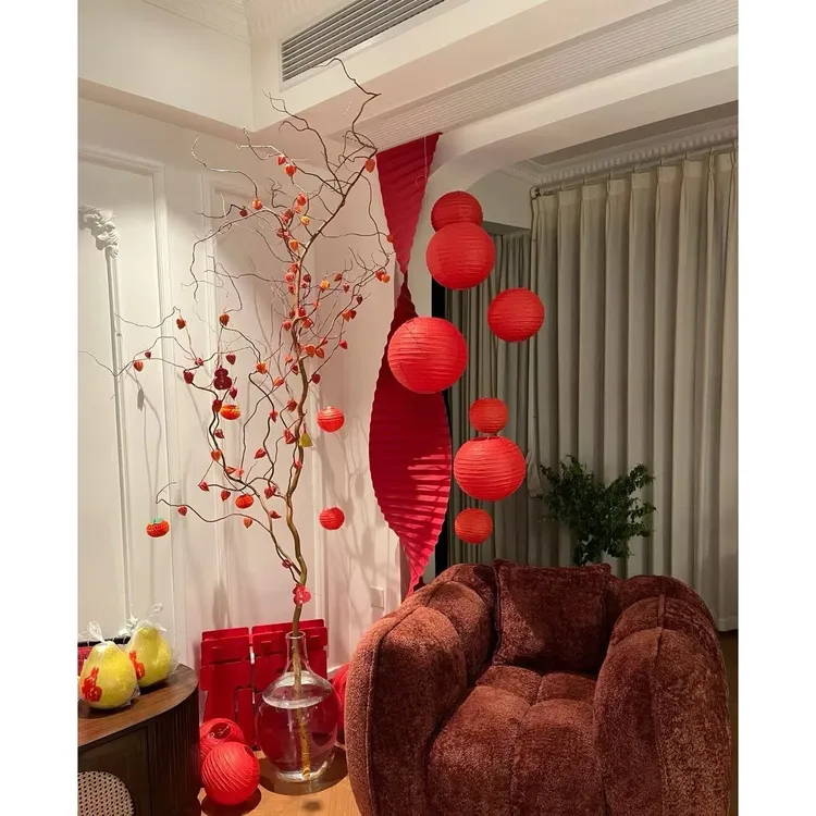 【金灯树】金龙柳酸浆果锦绣灯笼老桩鲜枝水培植物室内客厅大型好养