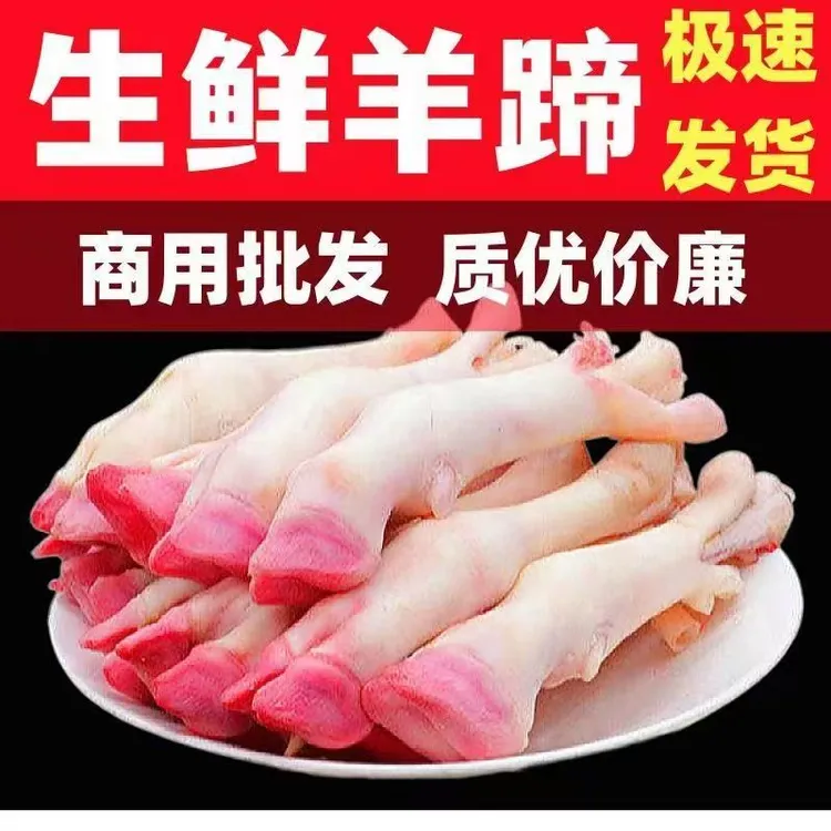 6斤新鲜白羊蹄子带筋整只羊脚顺丰包邮赠送料包