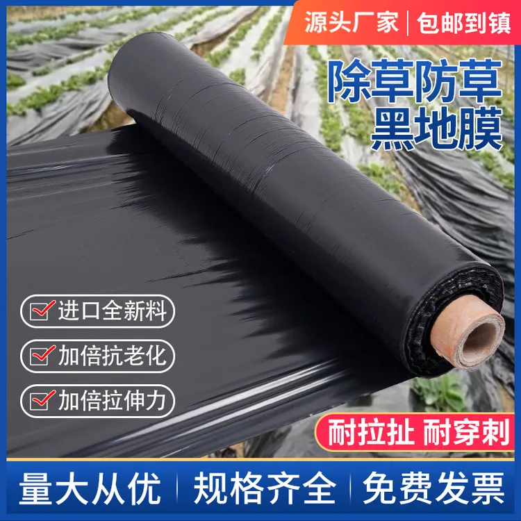 加厚黑色农用塑料地膜蔬菜大棚玉米防草专用种地薄膜