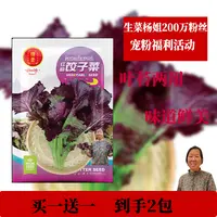 [买一送一]红韵饺子菜香芥菜种子
