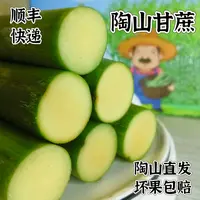 【3斤5斤】正宗陶山青皮甘蔗应季当季水果温州特产整箱新鲜甘蔗