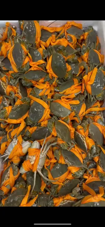 三门青蟹黄膏蟹包活包肥