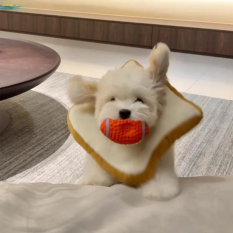 猫咪狗狗吐司伊丽莎白圈可调节防舔绝育项圈防抓咬宠物头套项圈