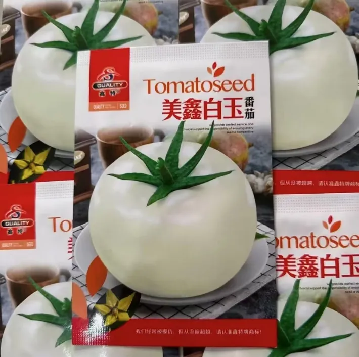【美鑫白番茄种子】四季种植盆栽地栽阳台小院种植